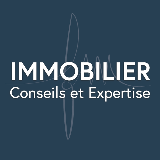 Logo FM Immobilier Conseils et Expertisev